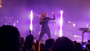 A picture of singer Rachel Platten posing with her left arm up to show she is strong, there are purple lights behind her and a crowd in front of her