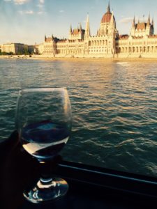 This is me holding a wine class while on a boat ride on the Danube river. This photo also shows the castle up close that I talked about on the last image. 