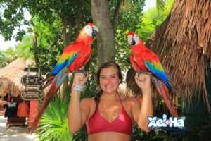 This is a picture of me and the parrots. They had the most beautiful colors and were so friendly.